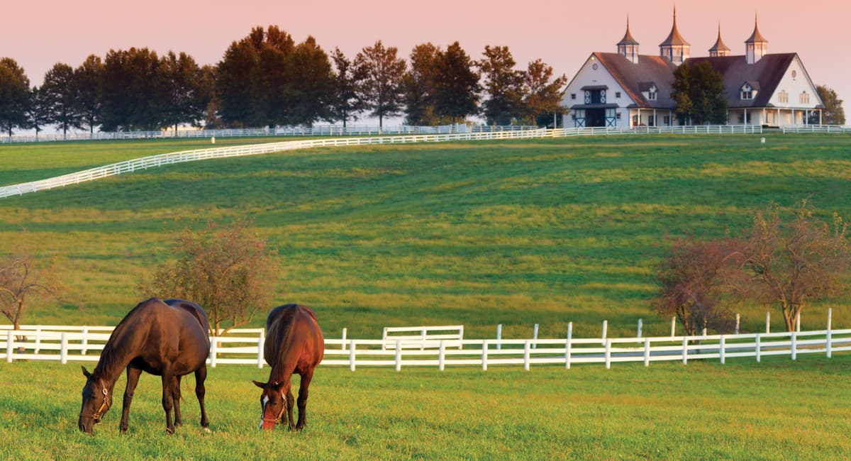 Farms & Stables
