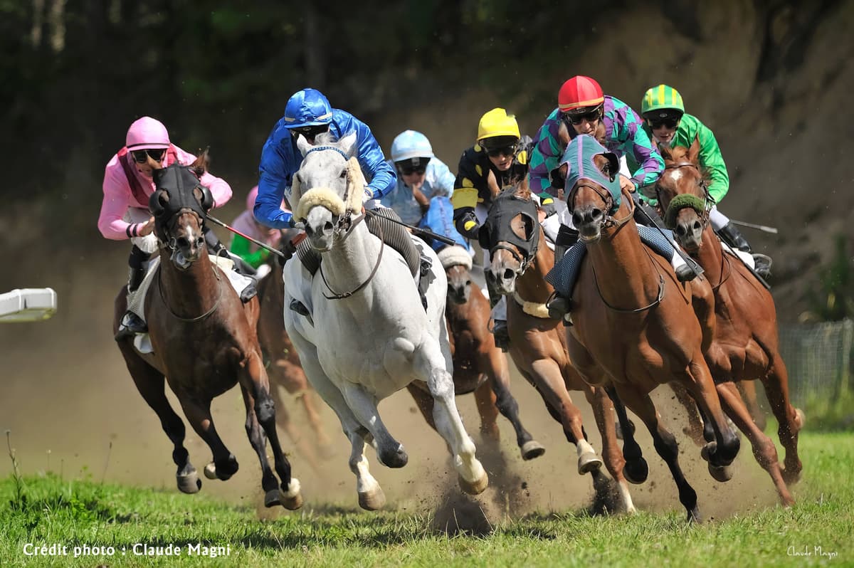 Race Horse