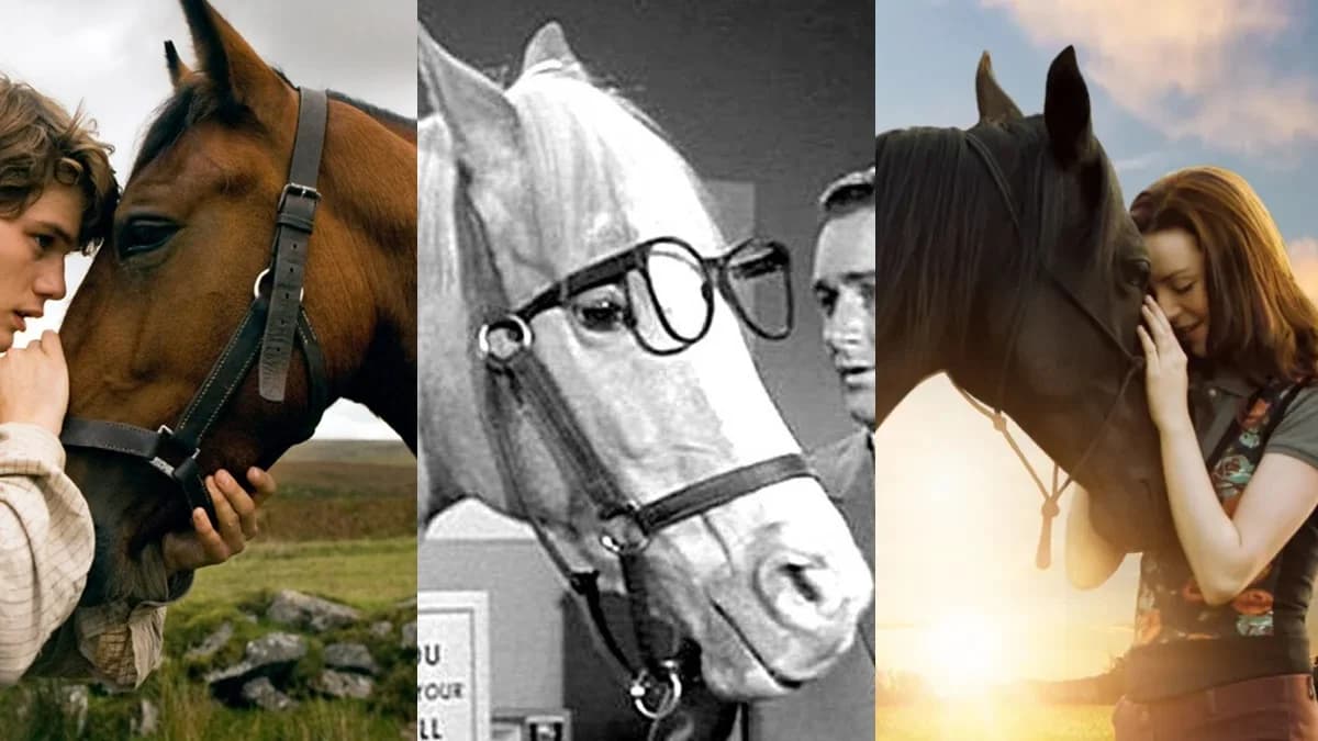 Movie Star Horse