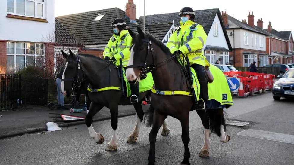Police Horse